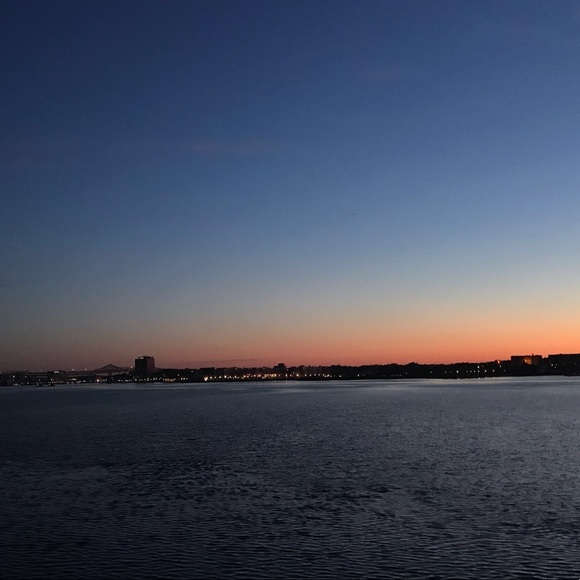 Meet your Posher, Ava - Picture 1 of 1